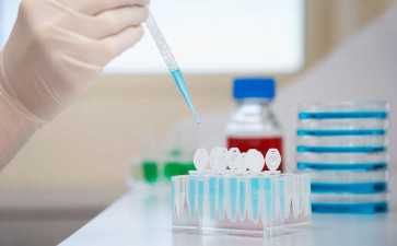 子宫内膜厚度健康标准解析：低于关键数值，掌握三招有效改善