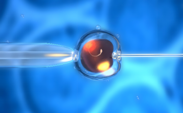 女性生育力保存别只关注冻卵