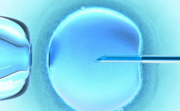 揭秘胎儿性别决定因素：科学解析与常见误区