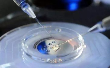 云南最新生育鼓励政策出台，二孩三孩5000！