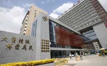 单身女性冻卵案：未来展望与深度解析